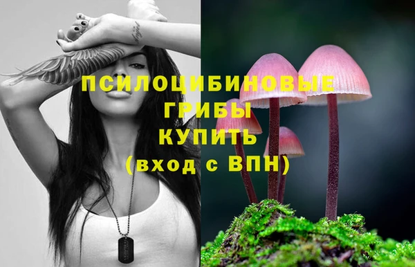 дурь Аркадак